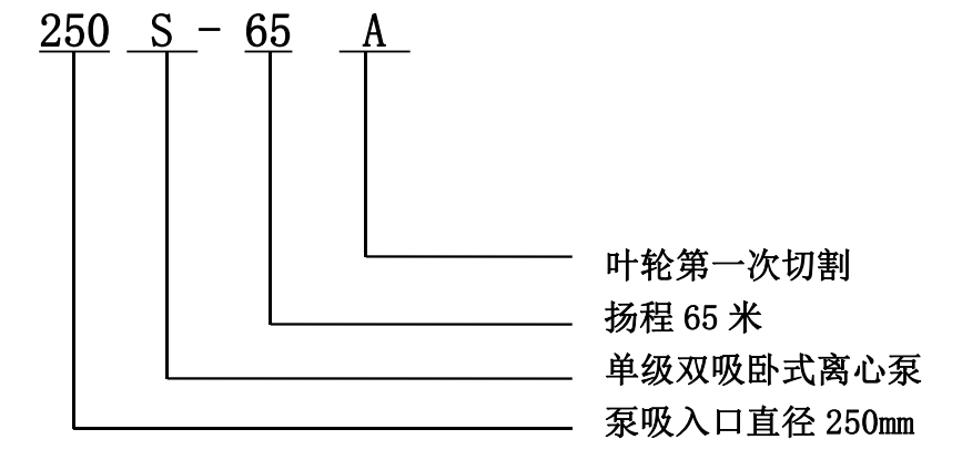 雙吸泵 雙吸泵